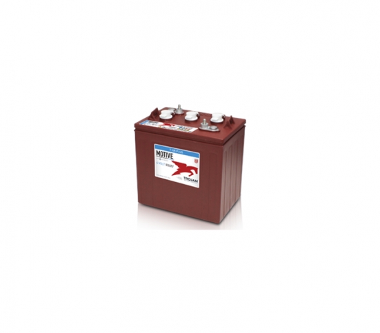 Imagem 5-t105-6v-225ah-.jpg